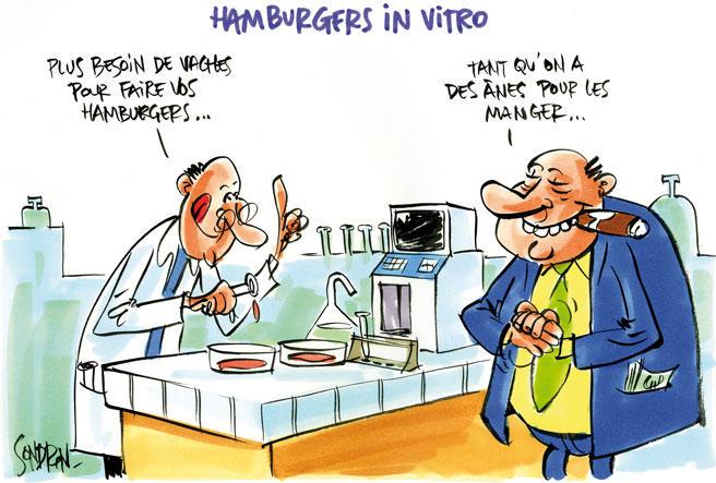Viande cultivée : vers la fin de l\'élevage ?