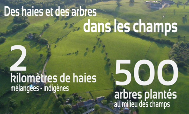 Des haies et arbres dans les champs. Un projet agroforestier à soutenir.