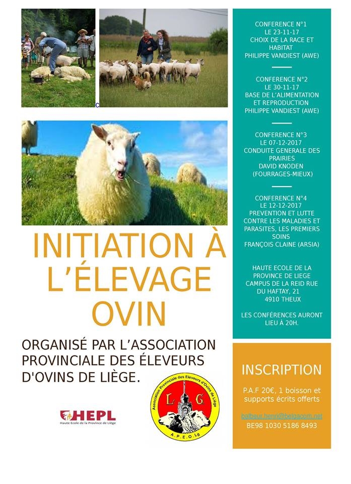 INITIATION A L’ELEVAGE OVIN