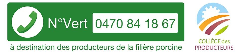 Numéro vert pour la filière porcine