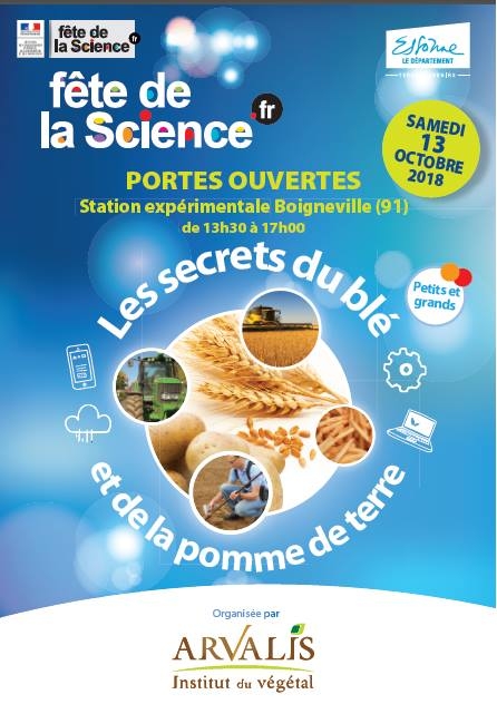 Les secrets du blé et de la pomme de terre