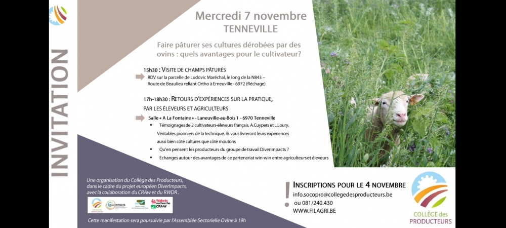 Après-midi d’info sur la valorisation des couverts par les ovins