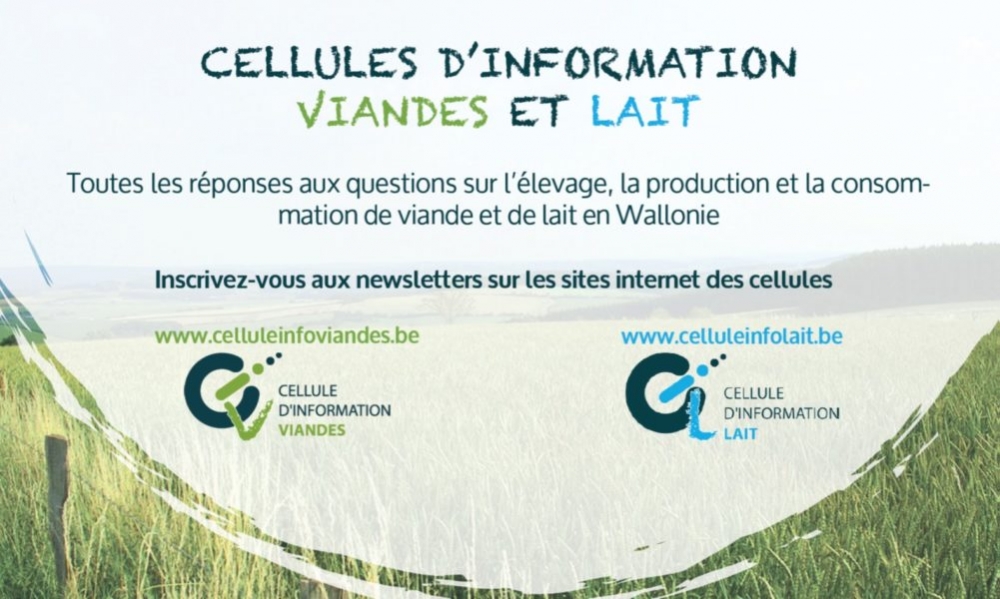 L’élevage wallon, bon élève dans la lutte pour la diminution des antibiotiques!