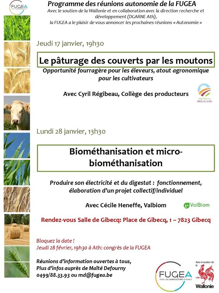 Le pâturage des couverts par les moutons : une opportunité fourragère pour les éleveurs, un atout agronomique pour les cultivateurs