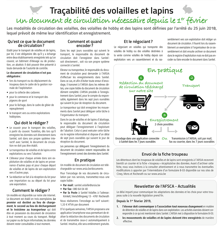 Petit rappel aux détenteurs de volailles et lapins en Belgique...