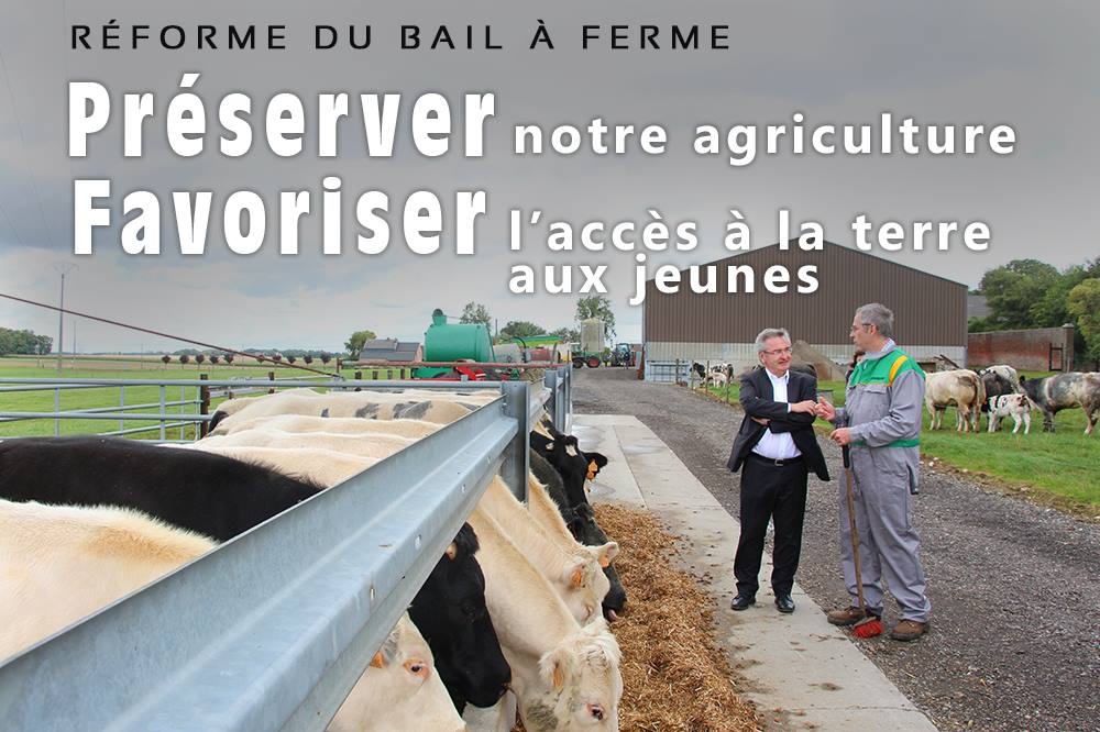 La réforme du Bail à ferme, votée en Commission agriculture du Parlement wallon