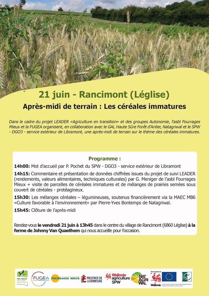 Après-midi sur le thème des céréales immatures