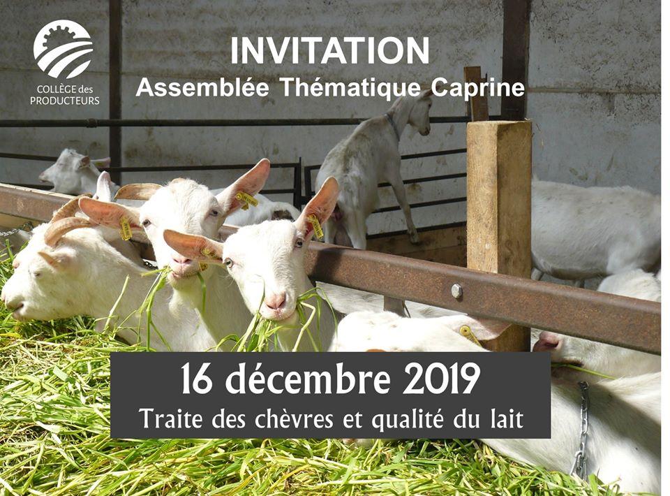 Assemblée Thématique Caprine à Liernu