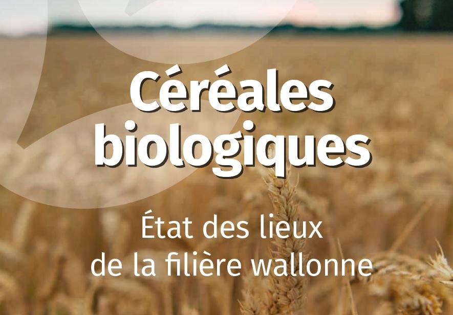Actualisation de l’état des lieux de la filière céréales biologiques