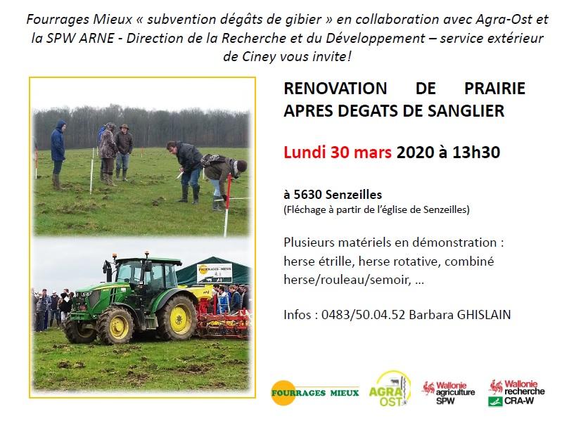 Rénovation de prairie après dégâts de sangliers.