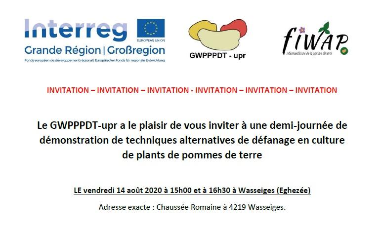 Démonstration de techniques alternatives de défanage en culture de plants de pommes de terre