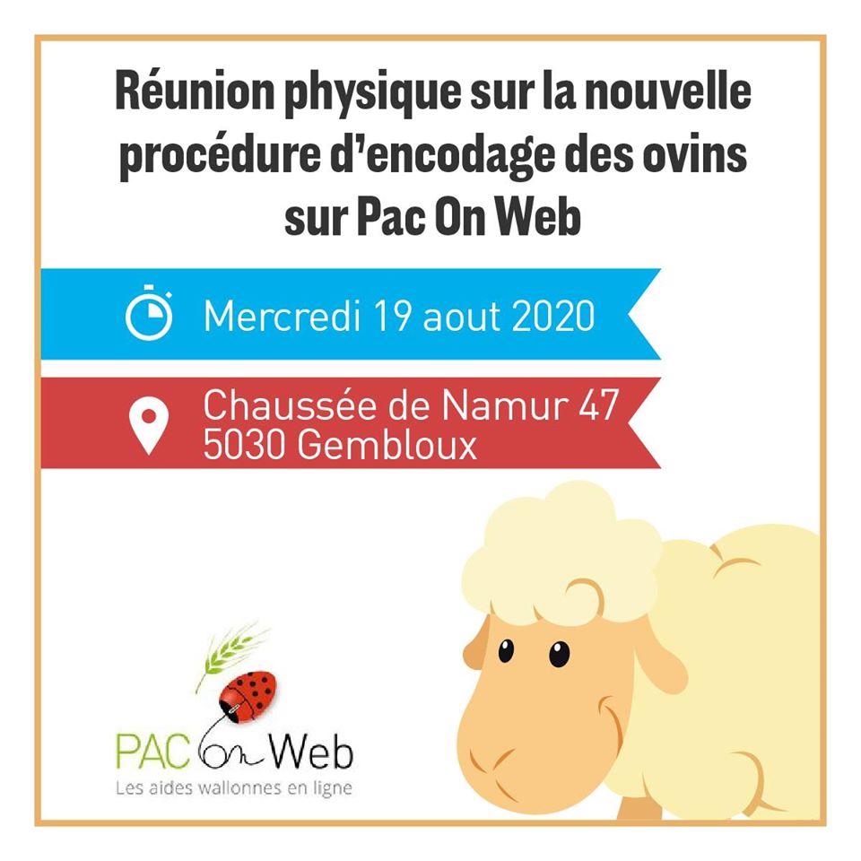 Réunion physique sur la nouvelle procédure d’encodage des ovins sur Pac On Web