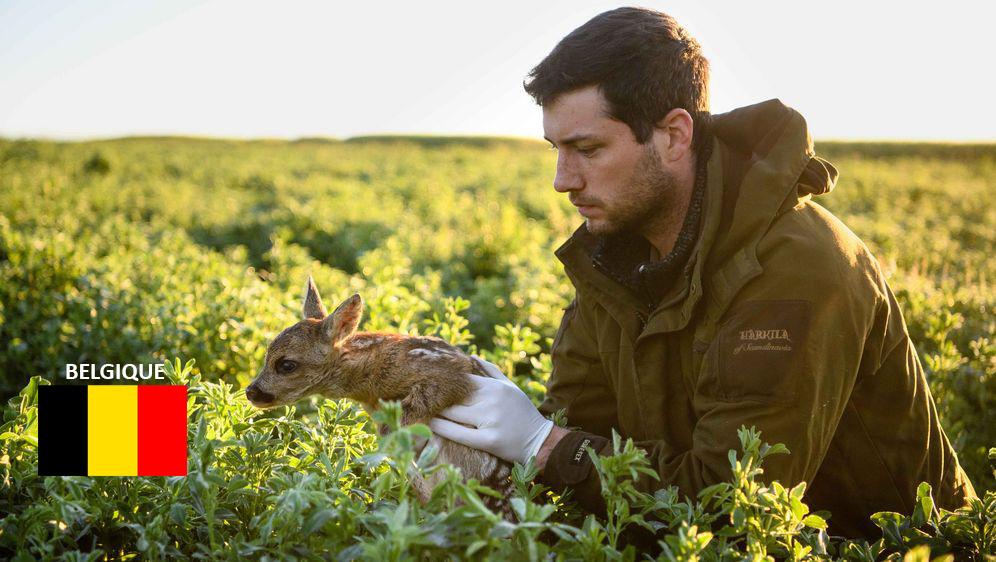 Contactez l\'asbl SAUVONS BAMBI avant de faucher