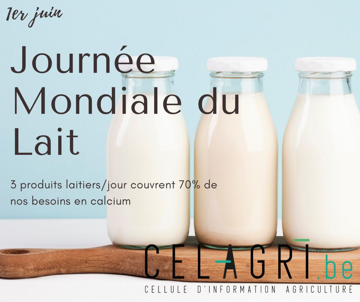 Aujourd\'hui c\'est la Journée mondiale du Lait !