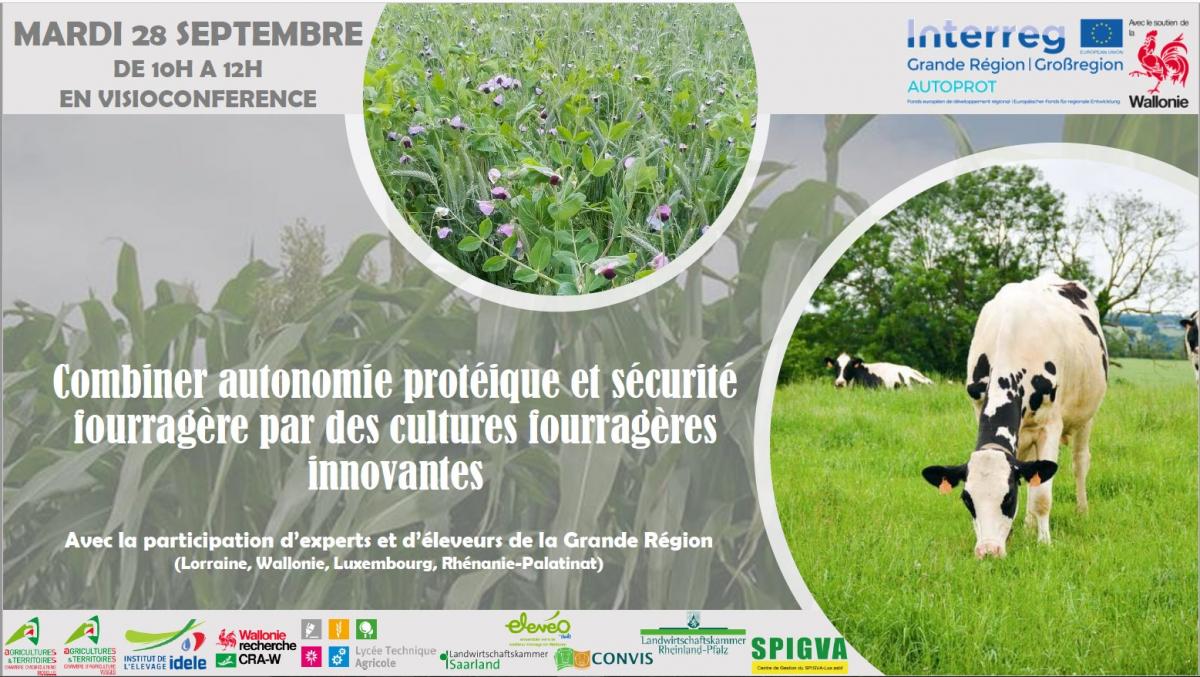 Webinaire Autoprot Interreg V A « Combiner autonomie protéique et sécurité fourragère par des cultures fourragères innovantes »