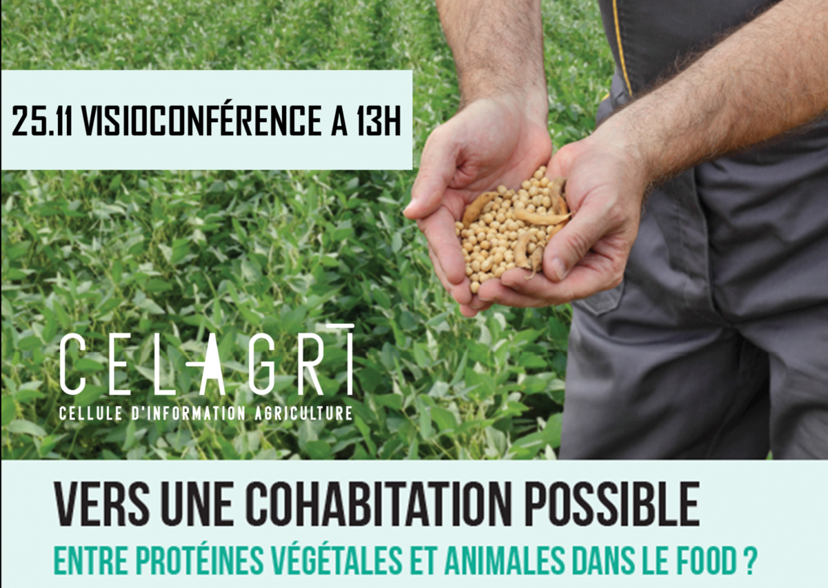 La cohabitation est-elle possible entre protéines animales et végétales dans le food ? Quelle incidence pour la production et l’agriculture wallonnes ?