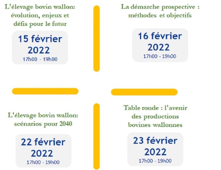 Construire les futurs de l\'élevage bovin wallon
