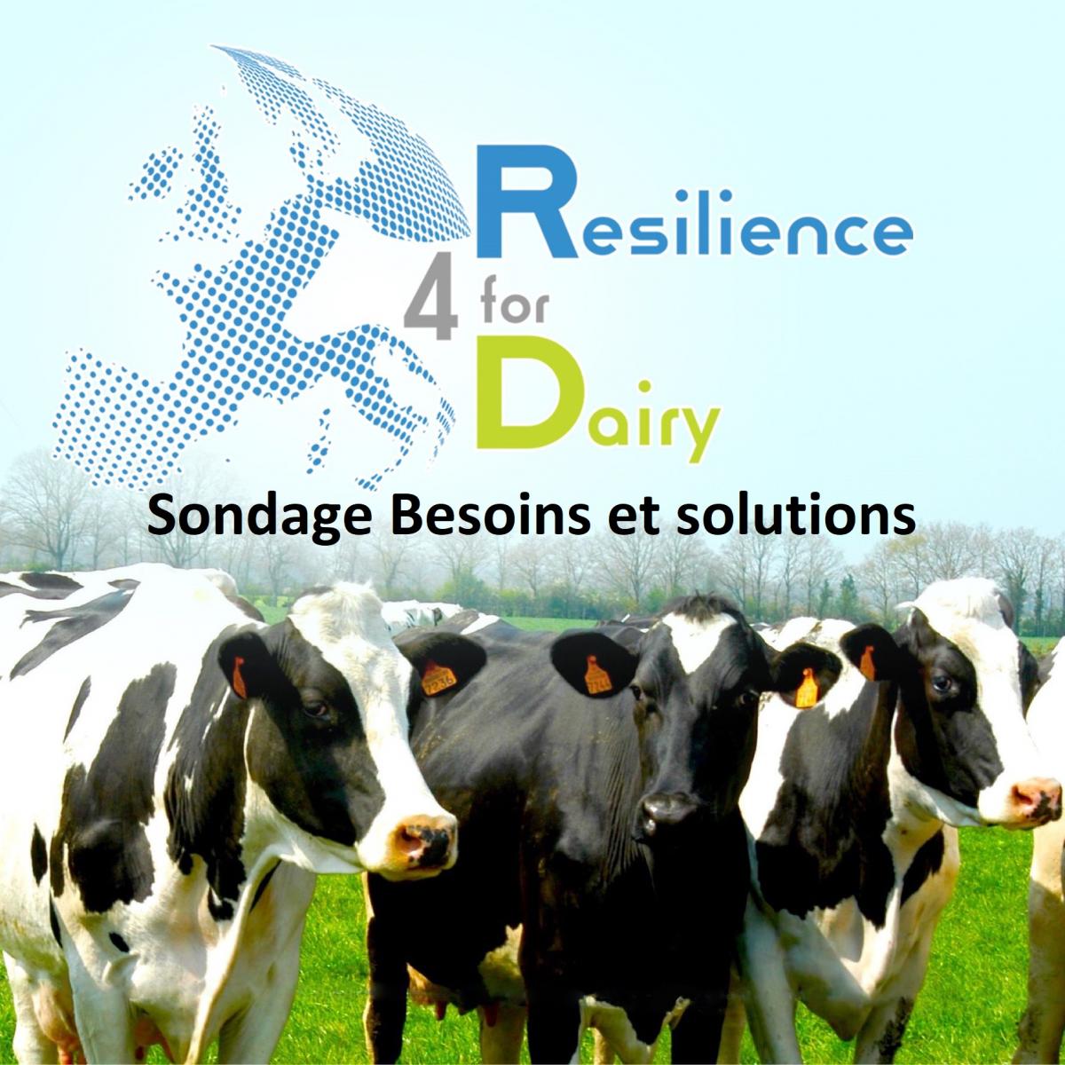 SONDAGE pour le projet Resilience for Dairy (R4D) - BESOINS et SOLUTIONS