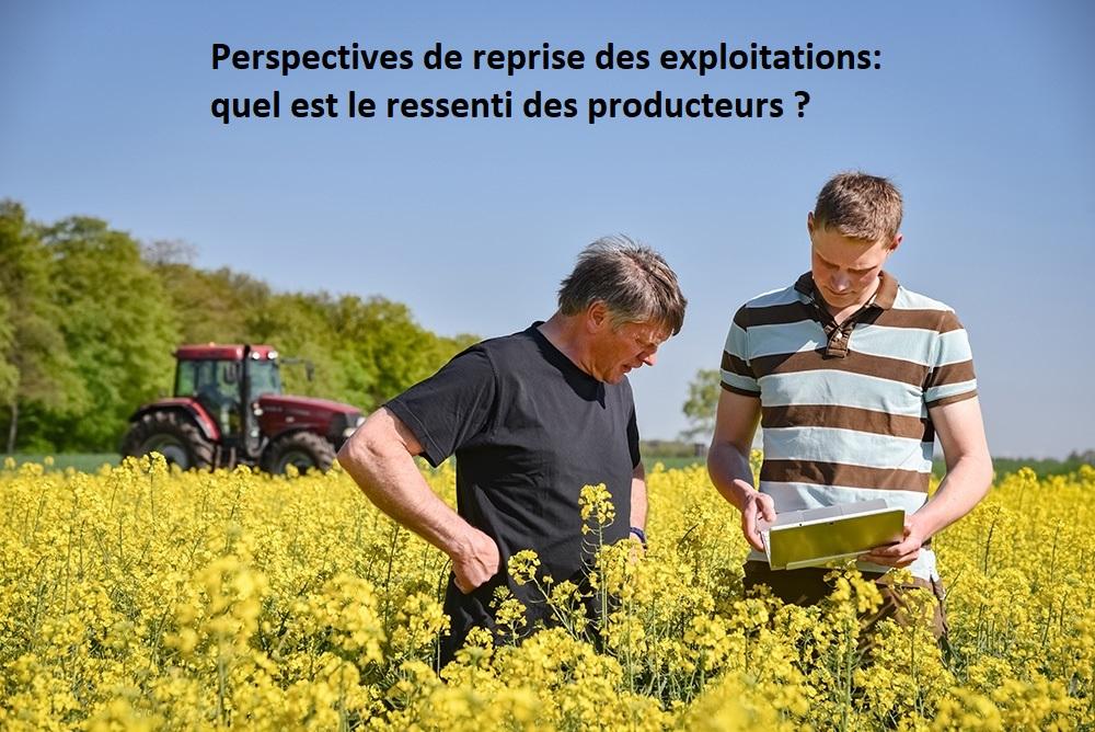 ENQUÊTE - Perspectives de reprise des exploitations: quel est le ressenti des producteurs ?