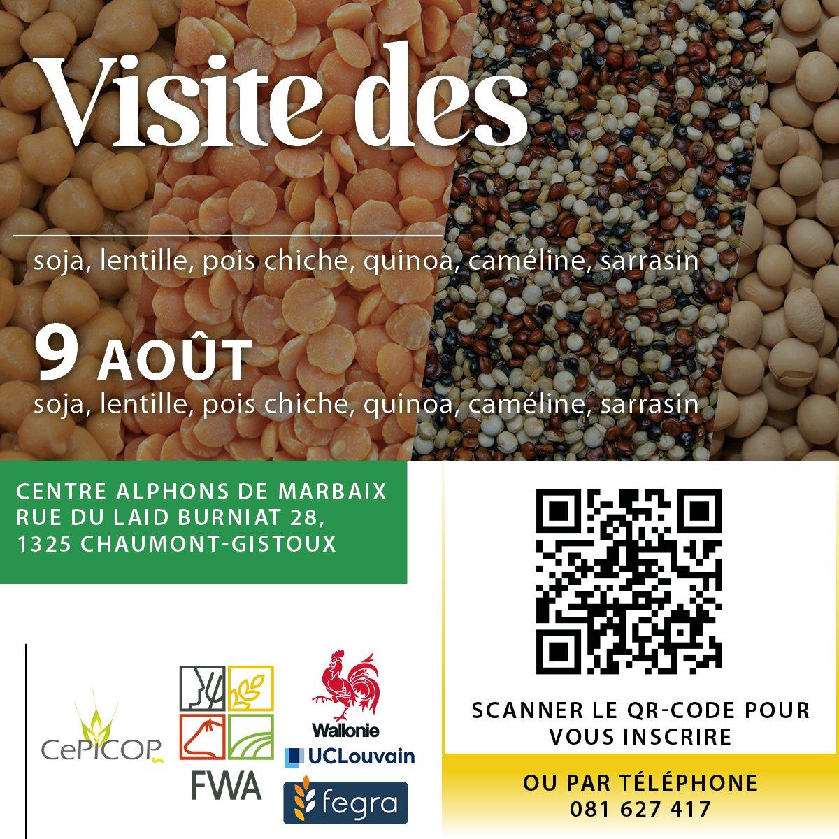 CePiCOP : l\'actu en céréales de cette semaine