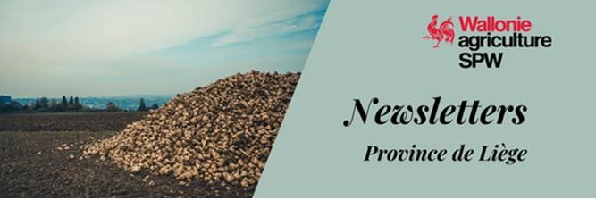 Newsletter SPW Agriculture en province de LIEGE du 08-11-22