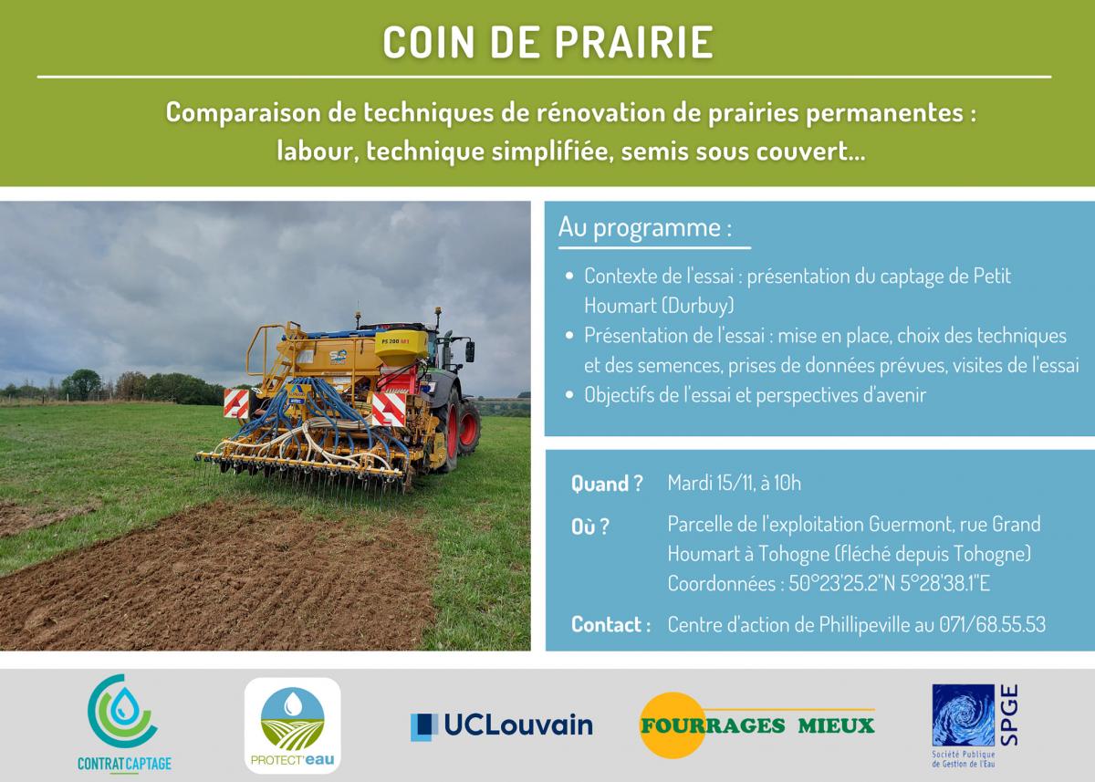 Coin de prairie - Rénovation de prairie permanente de fin d\'été