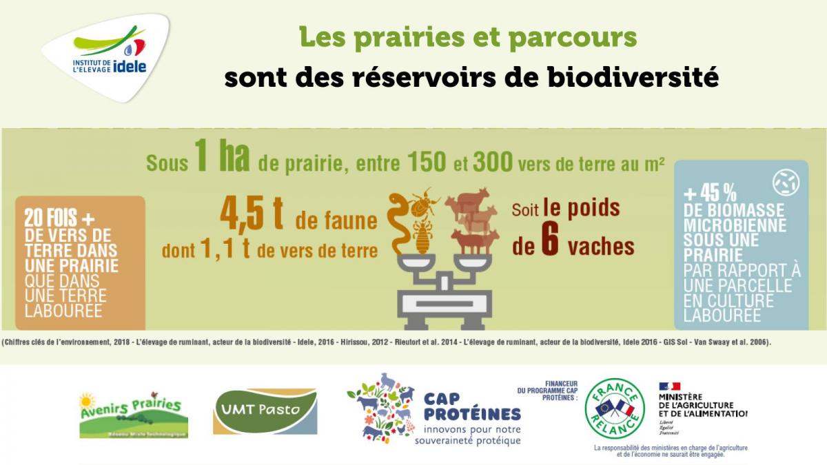 Journée mondiale des sols