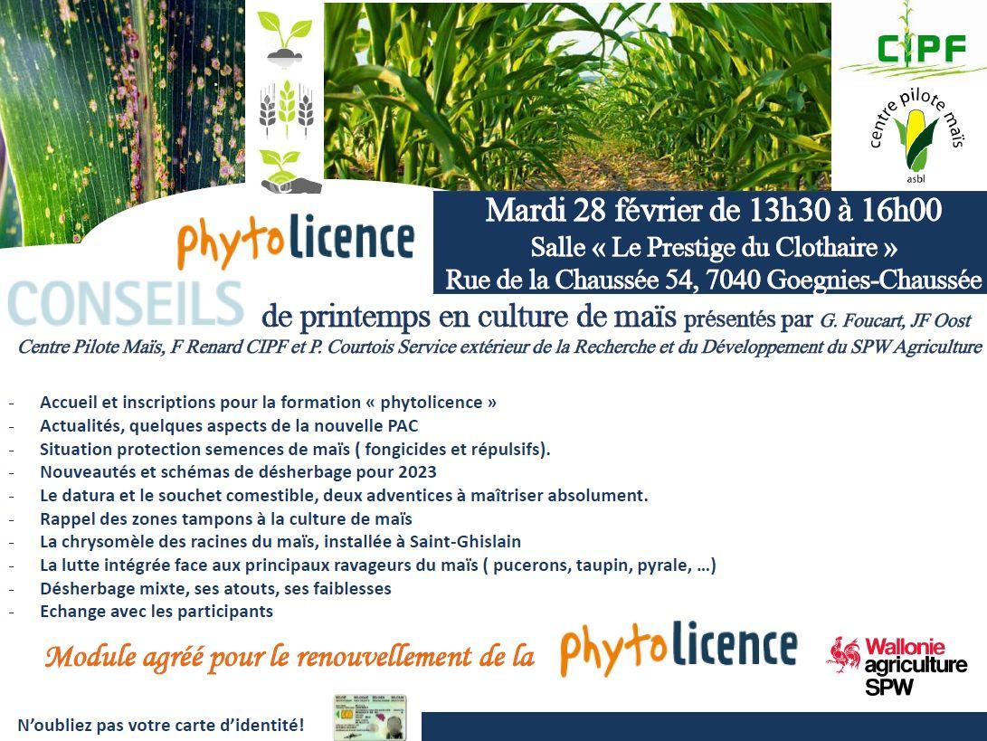 Conseils de printemps en culture de maïs