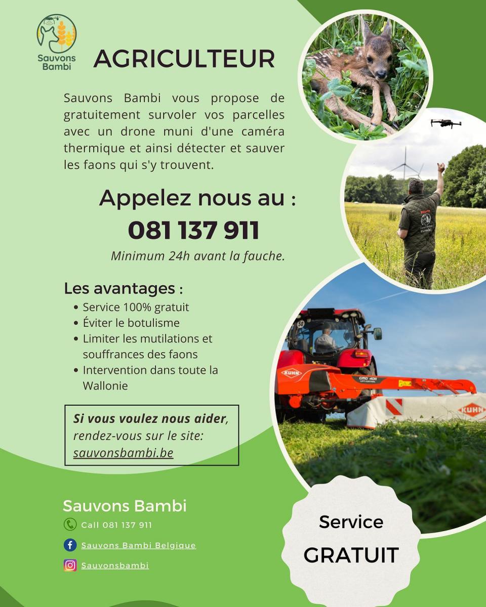 SAUVONS BAMBI est de retour