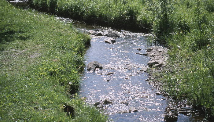 Accès du bétail aux cours d’eau : des assouplissements prévus