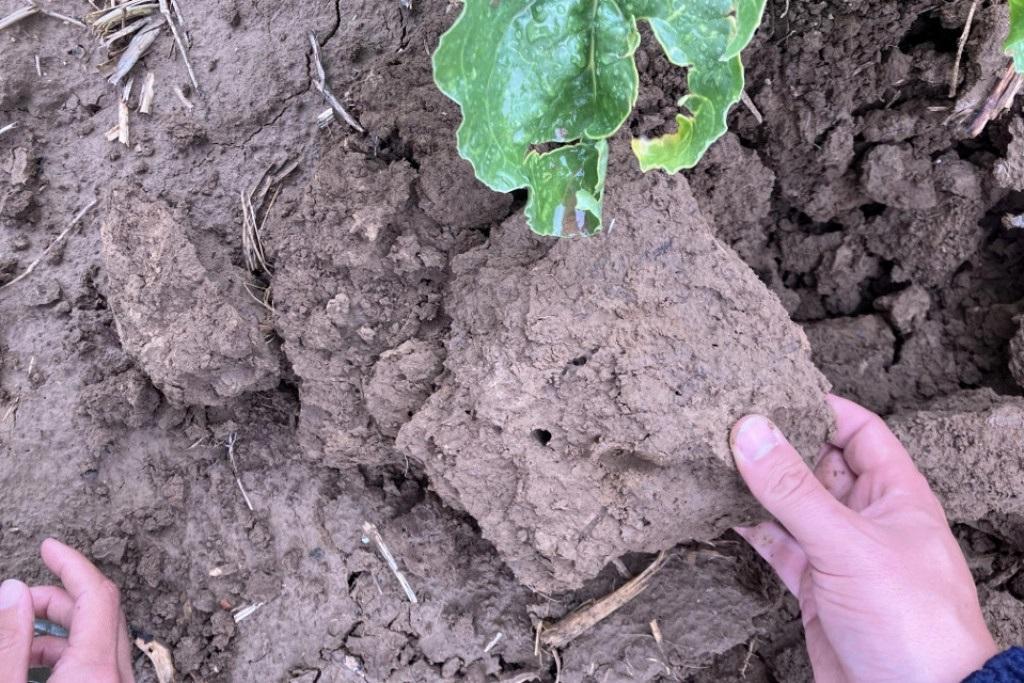 Comment explorer avec et chez les agriculteurs des innovations permettant d’améliorer la fertilité des sols ?
