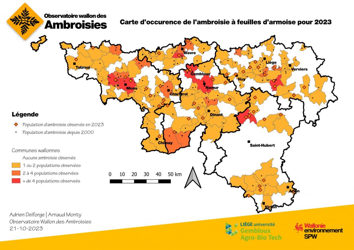 Carte de l\'occurrence des ambroisies en Wallonie pour 2023