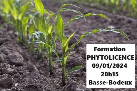 Formation PHYTOLICENCE - Mardi 9 janvier 2024 à 20h15 à Basse-Bodeux