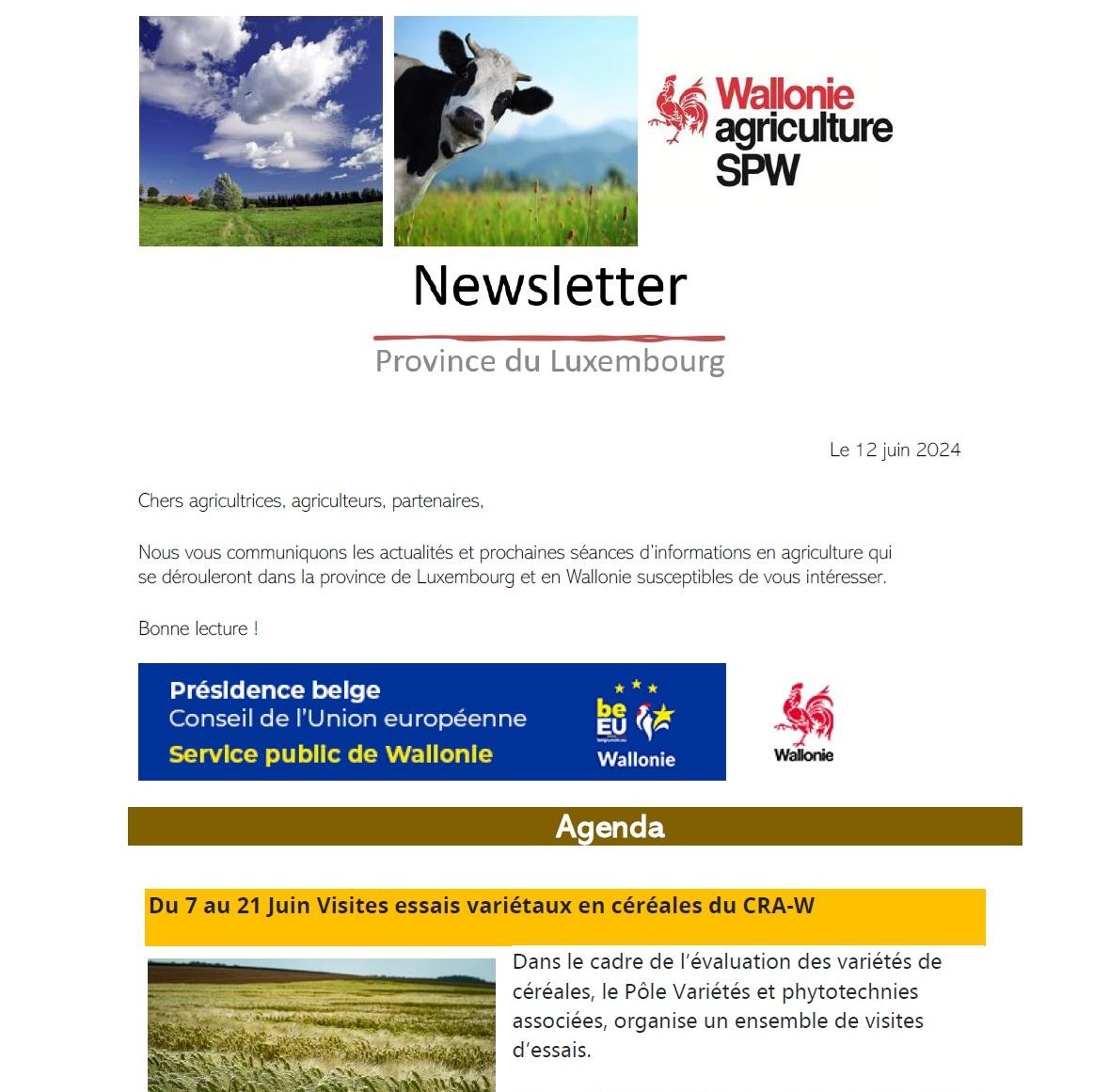 Newsletter SPW Agriculture en province du Luxembourg du 12-06-24