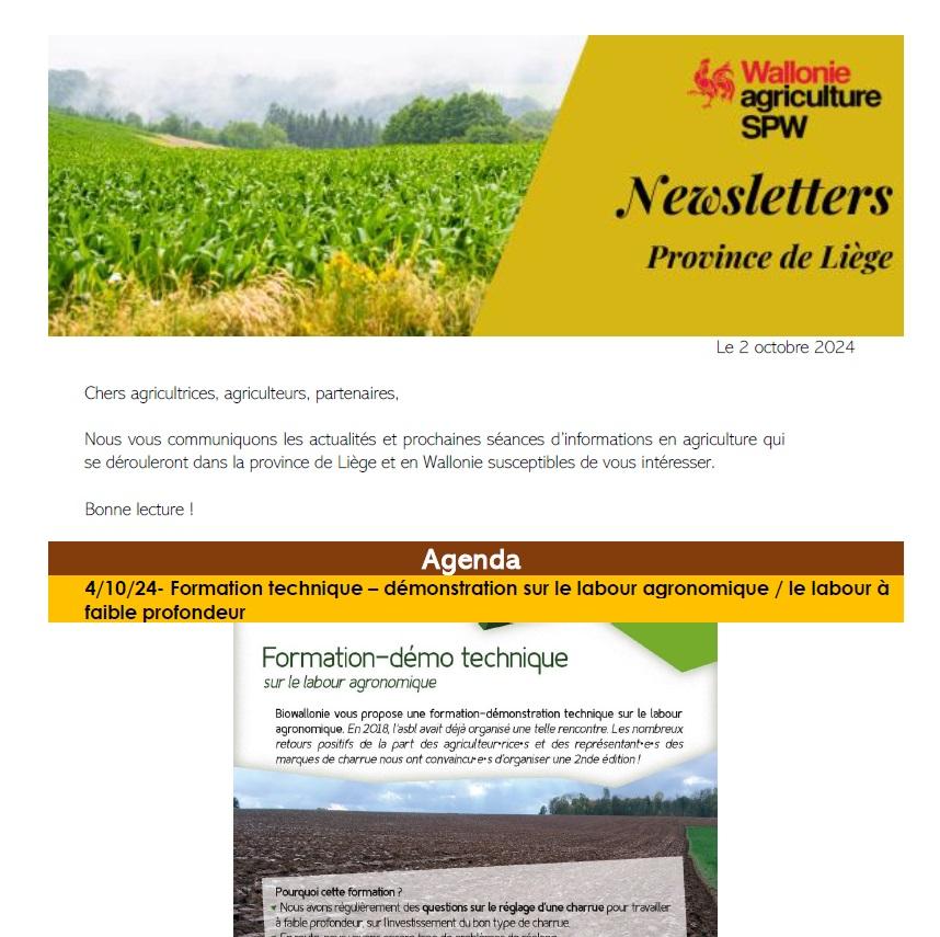 Newsletter SPW Agriculture en province de Liège du 04-10-24