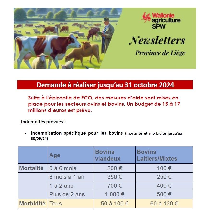 Newsletter SPW Agriculture - Spécial FCO du 23-10-24