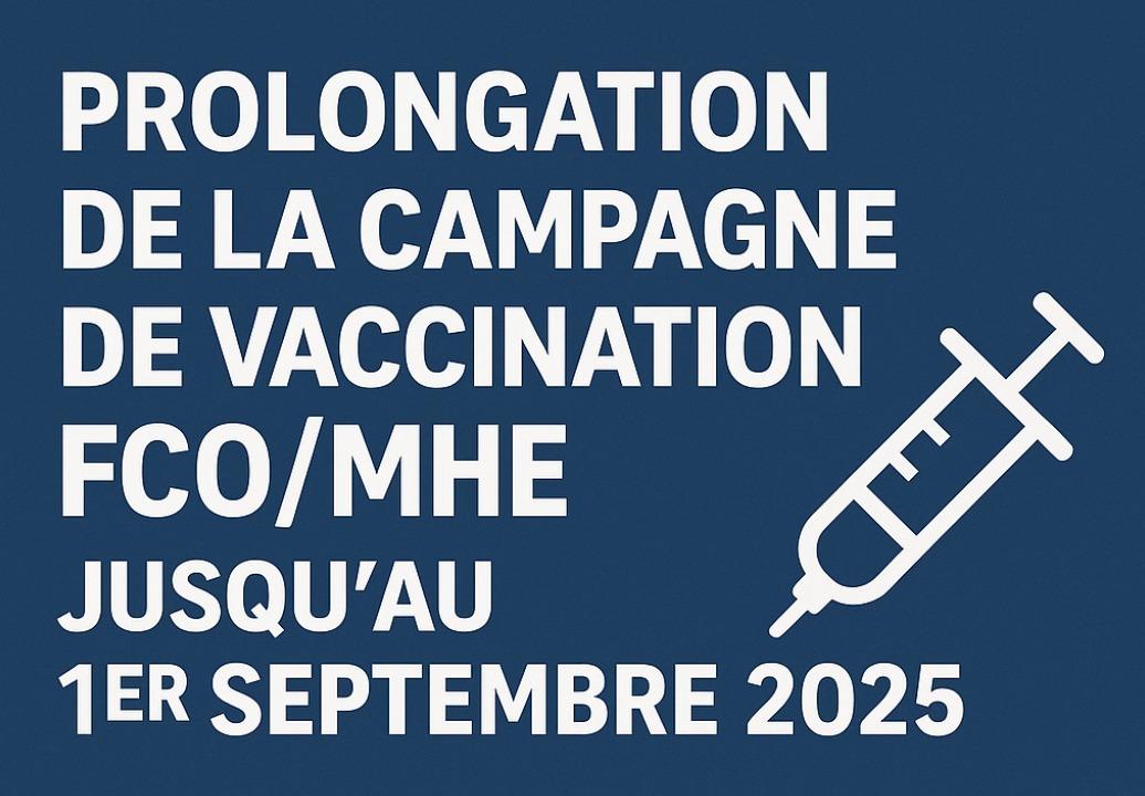 Prolongation de la campagne de vaccination FCO/MHE jusqu\'au 1er septembre 2025 !