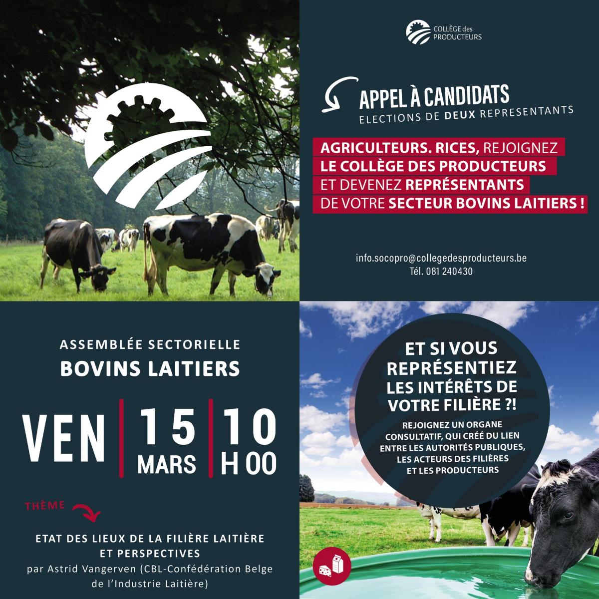 Réunion des acteurs du secteur laitier élections de 2 nouveaux producteurs au sein du Collège
