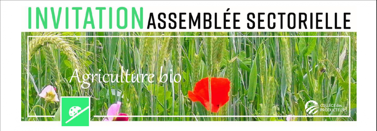 Nouveau plan stratégique pour le développement de l’agriculture bio à l’horizon 2030