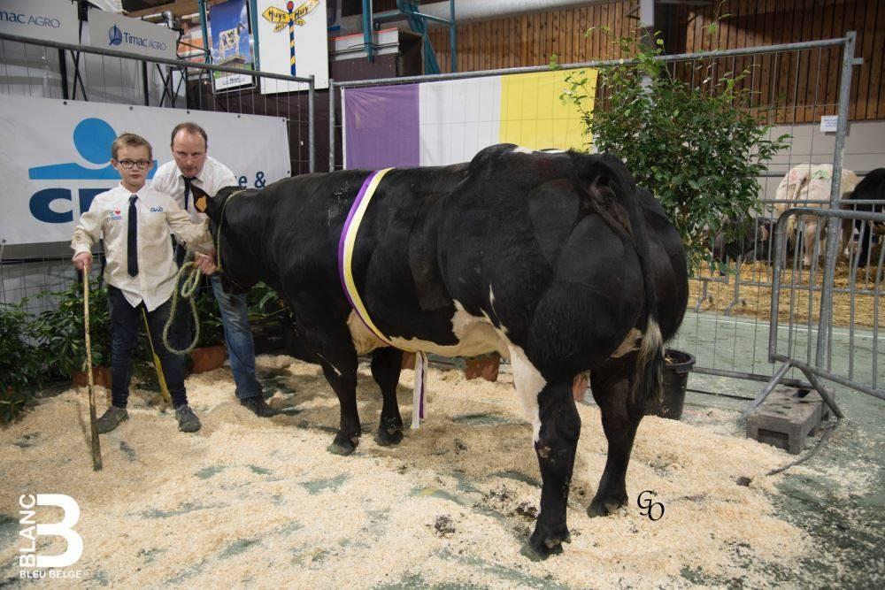 Marchés-concours BBB de janvier 2020