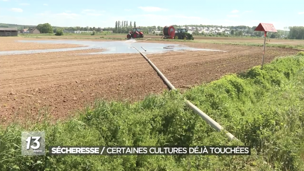 Sécheresse : \