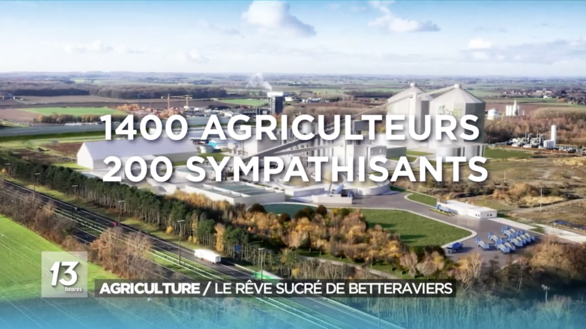 Le rêve sucré de betteraviers