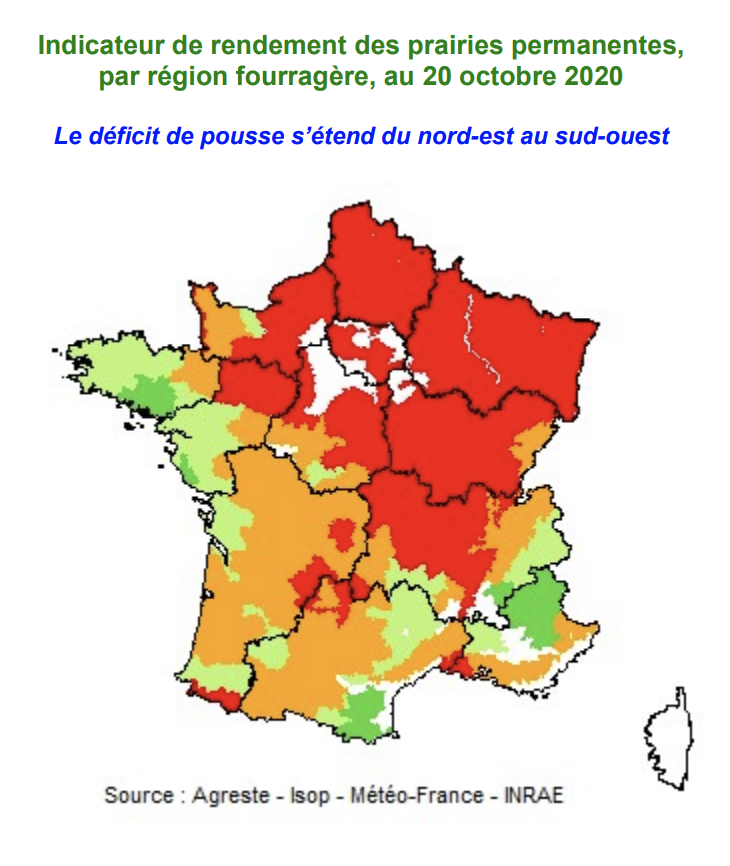 PRAIRIES PERMANENTES. La production d\'herbe pénalisée en 2020 en France