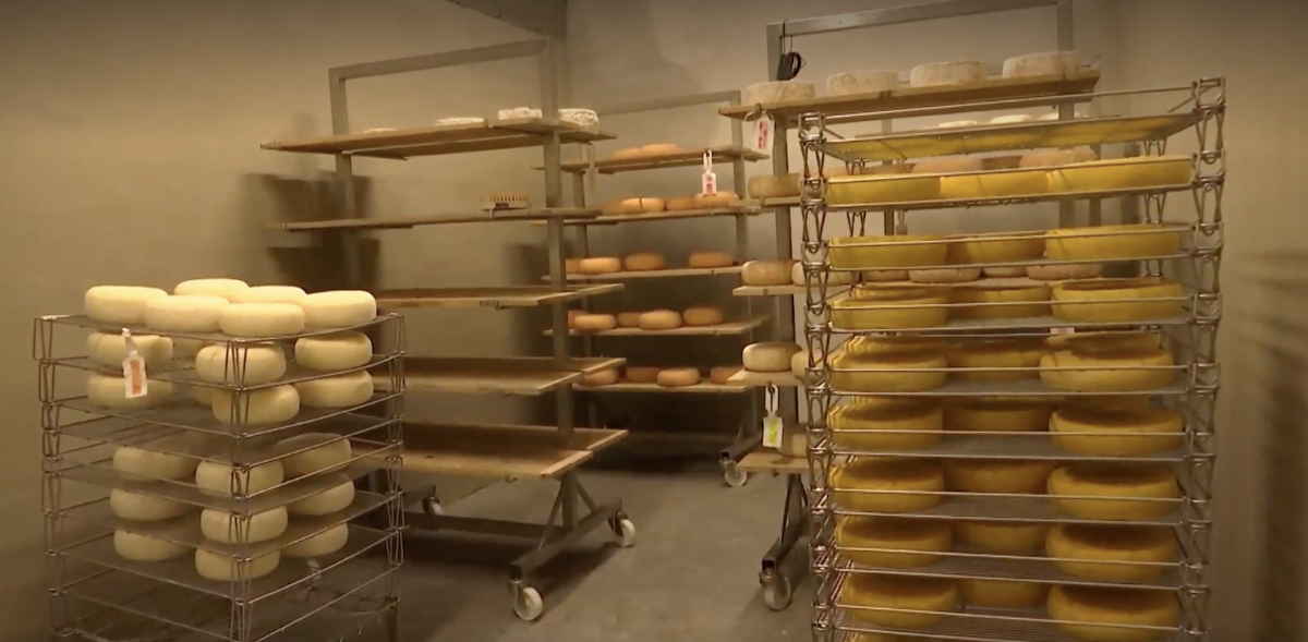 Fromagerie du Samson : un atelier innovant à Marche