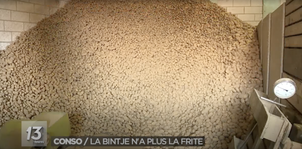 Consommation : La bintje n a plus la frite