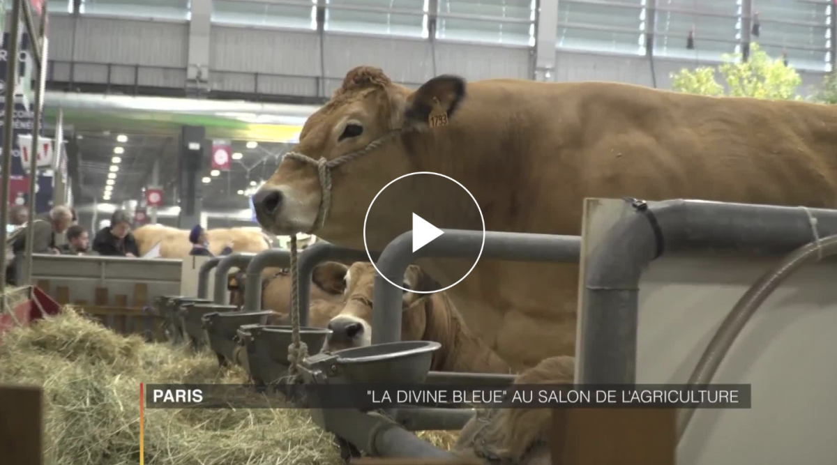 La Ferme des grandes Fagnes défend son pavé bleu à Paris