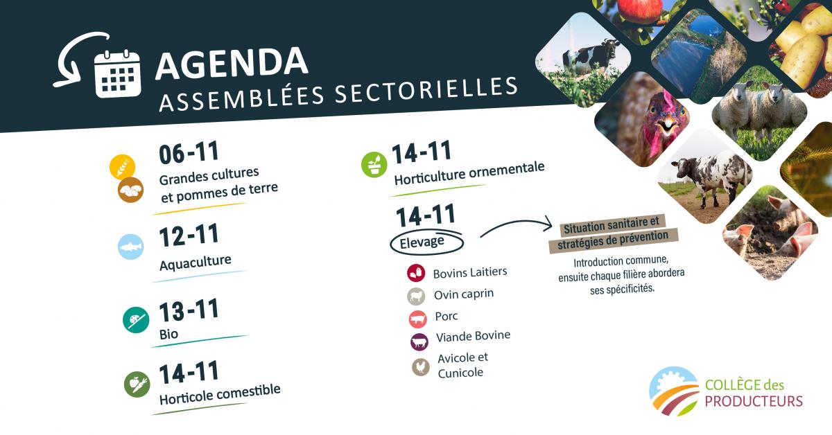 Réunions des producteurs, par secteur de production