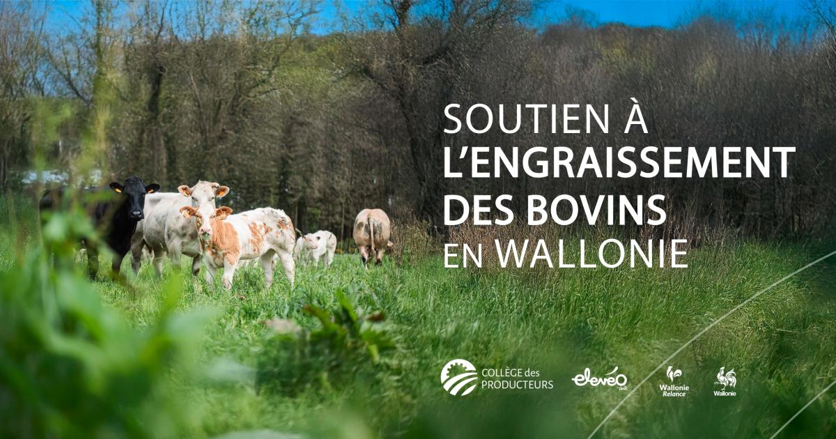 Enquête : Eleveurs de bovins, que pensez-vous de l\'engraissement directement sur votre exploitation ?