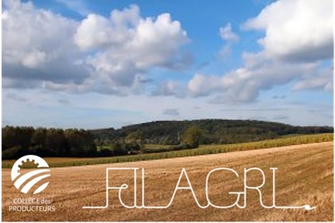 FILAGRI.BE, le nouveau portail des filières agricoles wallonnes !