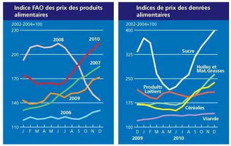 Hausse des prix : pas de restrictions d'exportation (FAO)